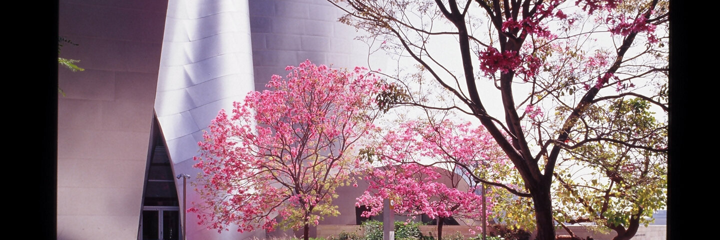 history-of-environmental-arts-part-4-archx427-8d