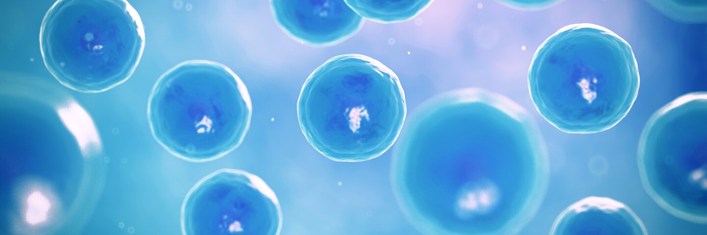 introduction-to-cell-biology-mcdbioxl10