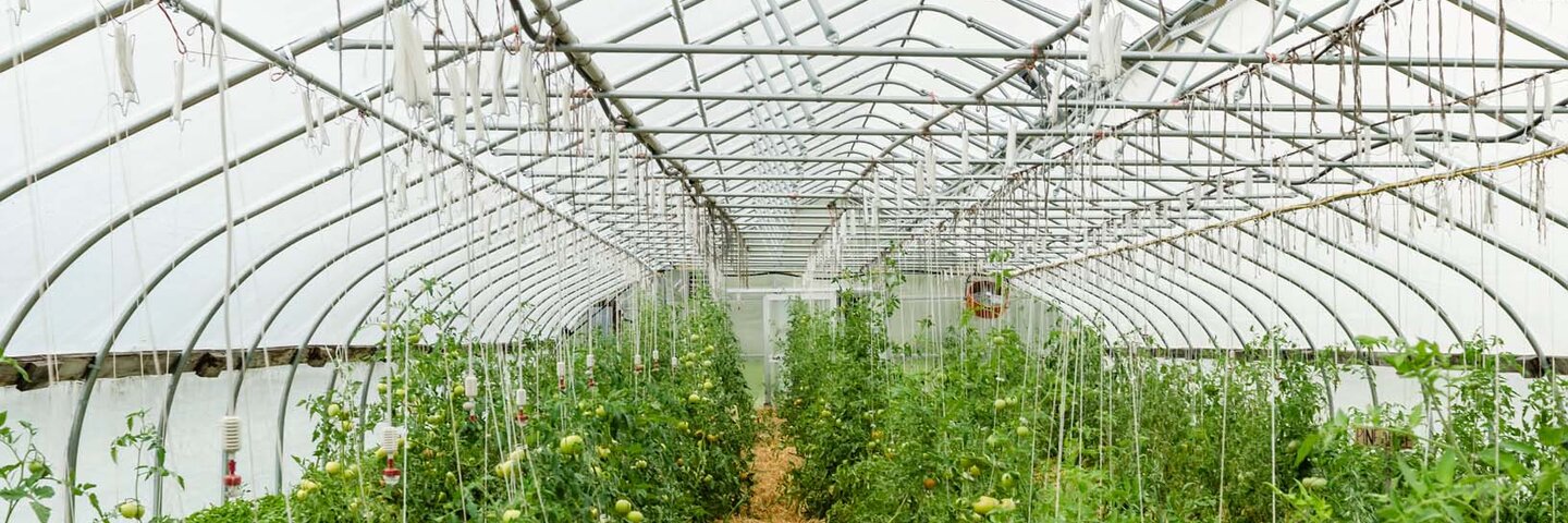 sustainable-food-and-agriculture-pub-plcx478