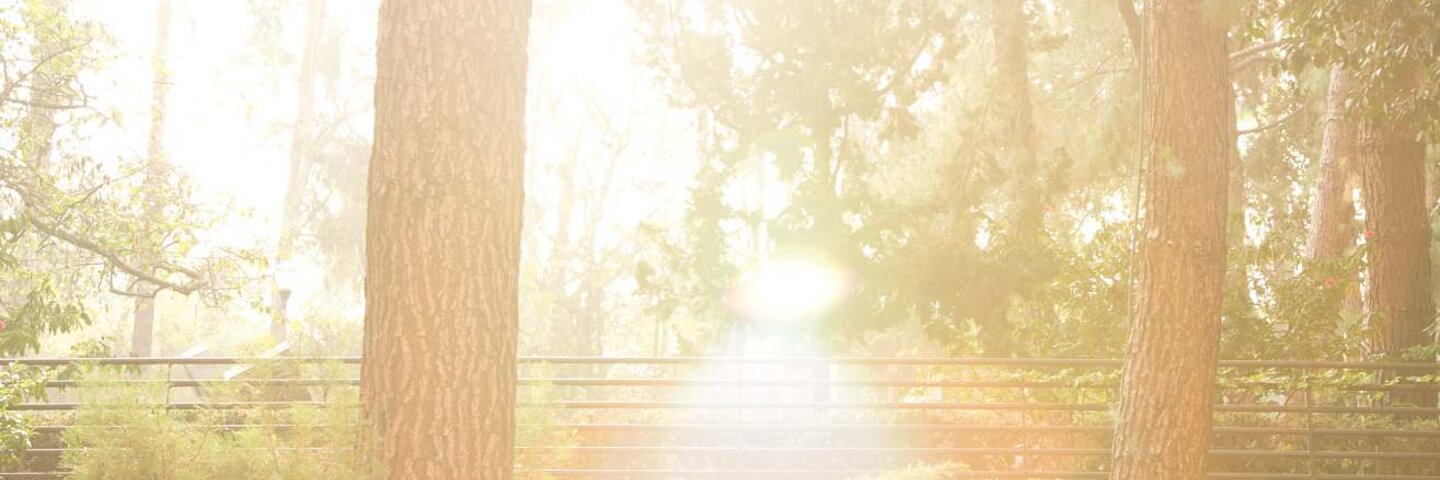 UCLA Botanical Garden